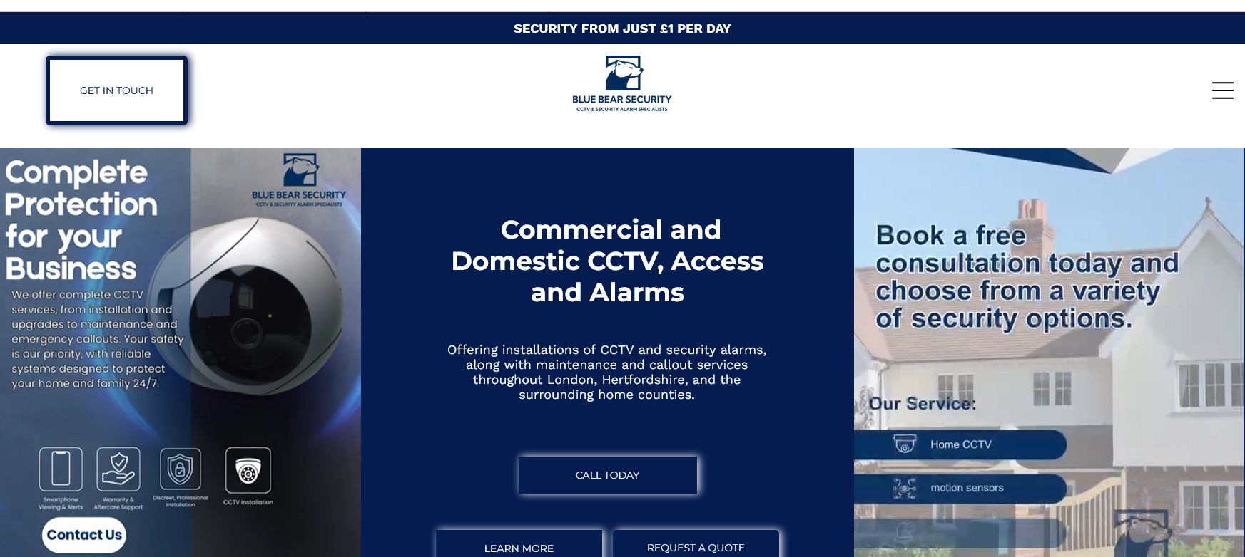 Blue Bear Security Website Screenshot 001