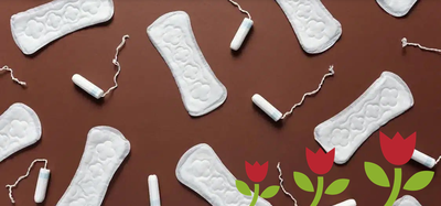 Sanitary Waste Products in Lincolnshire