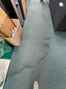 Carpet Cleaning Services