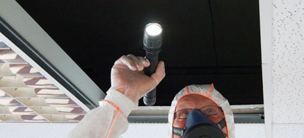 Professional Asbestos Surveys