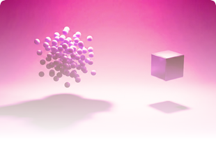 Bespoke Software Engineering