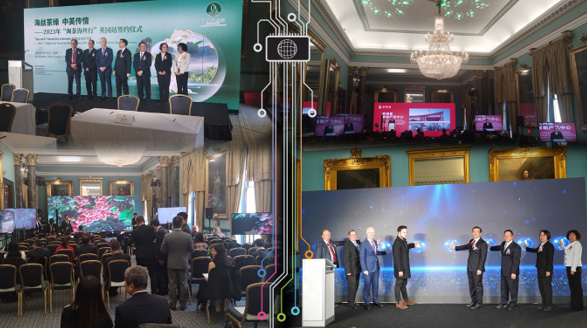 From Challenges to Triumphs