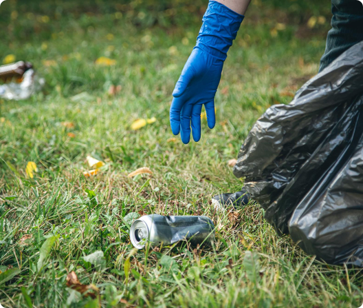Garden Waste Cleaning in West Sussex