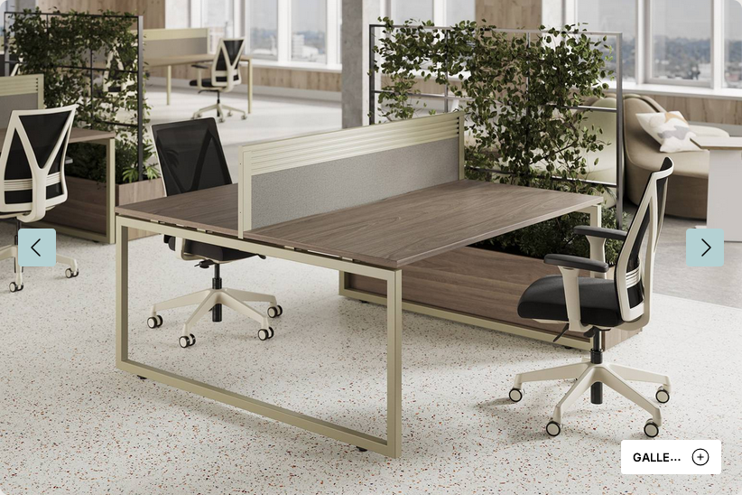 Bench Desks - Apex Loop-Leg
