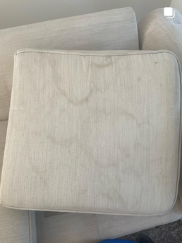 Upholstery Deep Cleaning