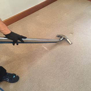 Carpet Cleaning Services