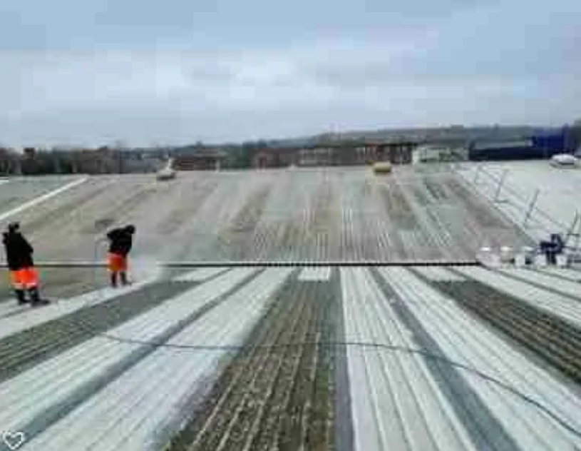 Roof Cleaning Service Covering All of South Wales