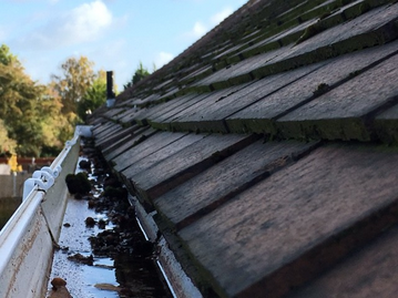 Professional Gutter Cleaning in Sheffield