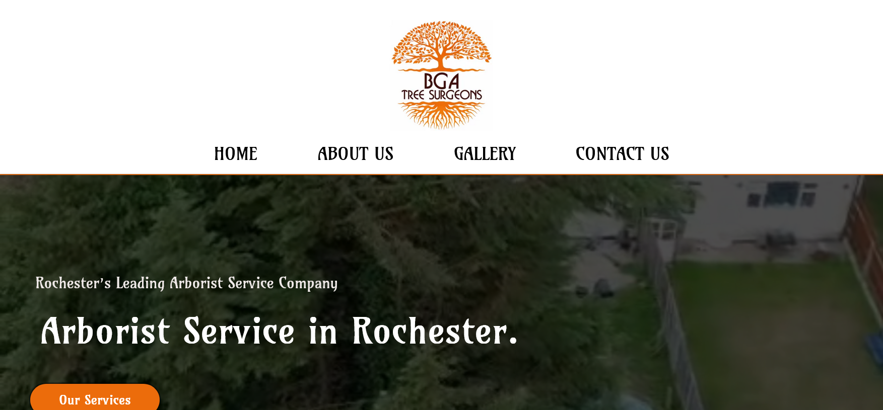 BGA Trees Website Screenshot 001