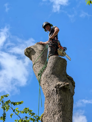 Tree Pruning