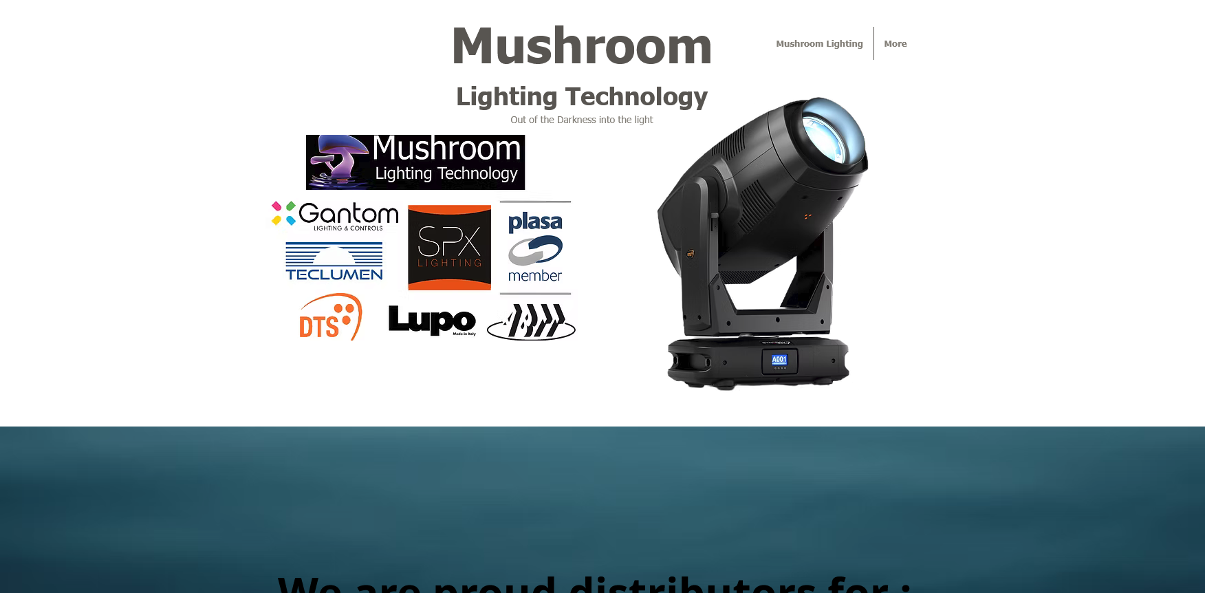 Mushroom Lighting Technology Website Screenshot 001