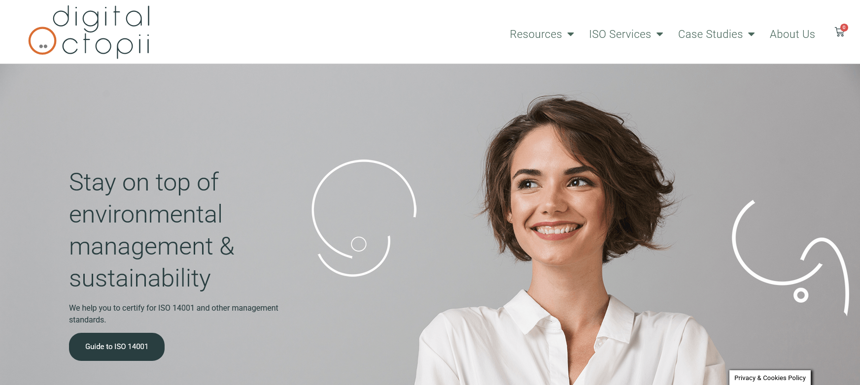 Digital Octopii Website Screenshot 001