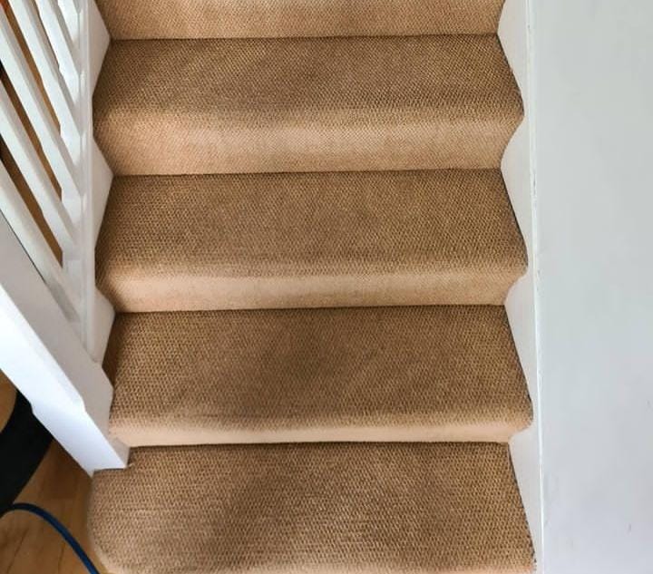 Carpet Cleaning Services