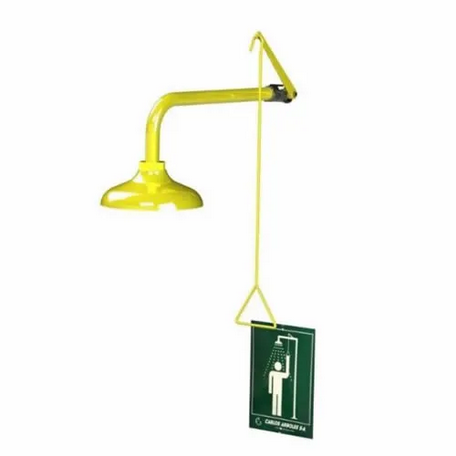 Wall Mounted Drench Shower